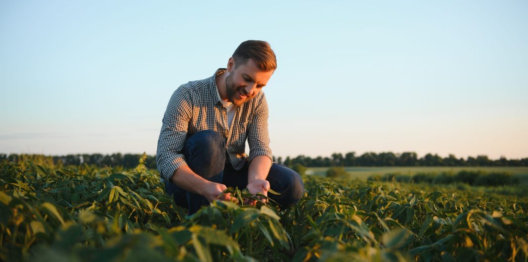 5 asigurari esentiale pentru agricultori