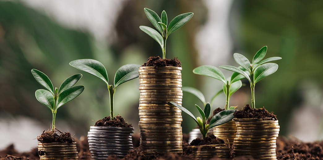 Asigurarea de viata ca investitie - randament si beneficii