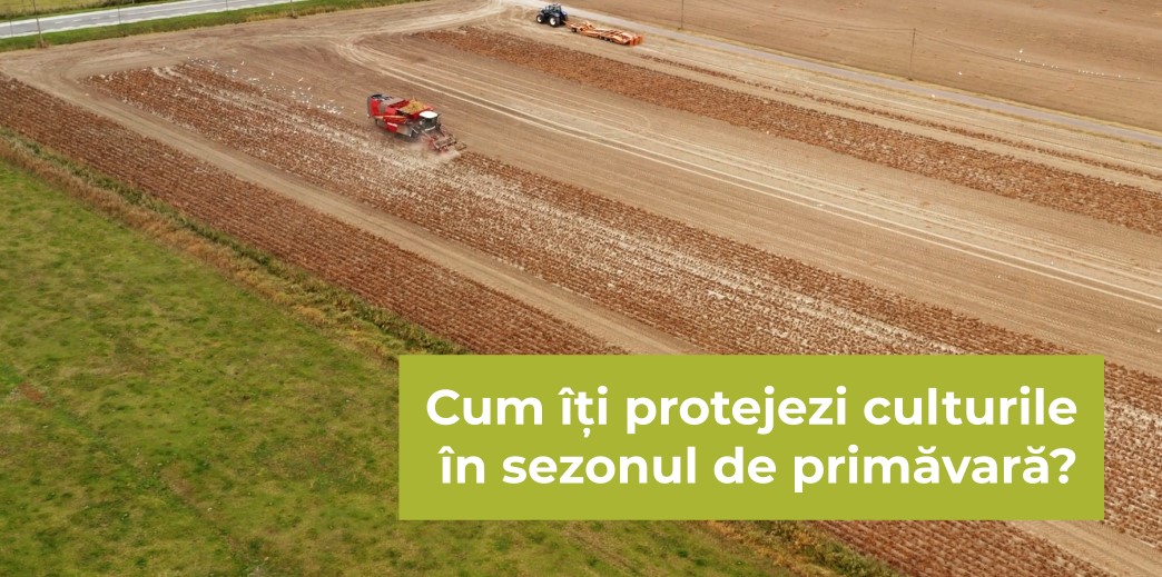 Cum îți protejezi culturile în sezonul de primăvară? -