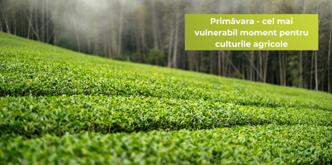 Primăvara - cel mai vulnerabil moment pentru culturile agricole