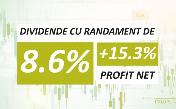 Dividende cu randament de 8,6% pentru acționari